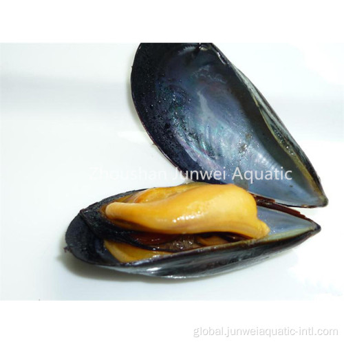 Fresh Frozen Mussel for Market fresh frozen mussel for sale Manufactory